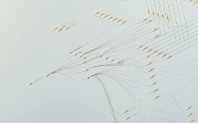 Universal Basic Income and The Token Tax